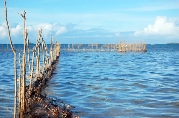 Fishing net — Stock Photo, Image