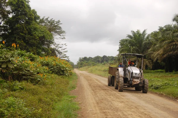 Tracktor na estrada de cascalho — Fotografia de Stock