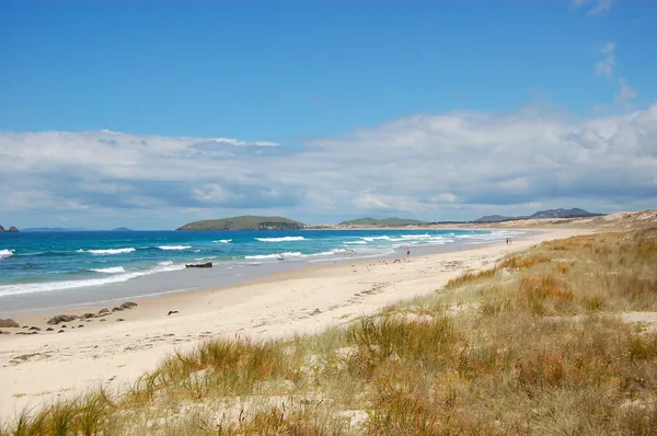 Kumlu okyanus plajı