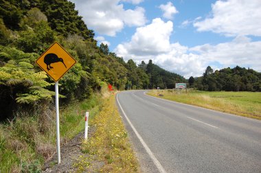 Sarı kiwi kuşu yol işaret yol kenarında