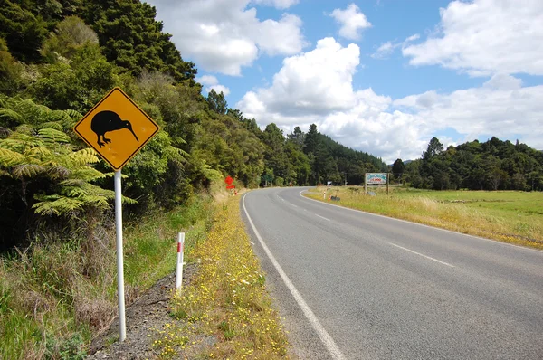 Panneau routier jaune kiwi oiseau au bord de la route Images De Stock Libres De Droits