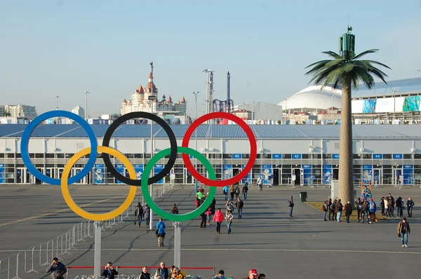 Olympische ringen in de buurt van de ingang van park in Sotchi 2014 xxii winter ol — Stockfoto