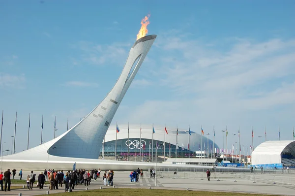 Olympisch vuur op xxii winter Olympische spelen van sochi 2014 — Stockfoto