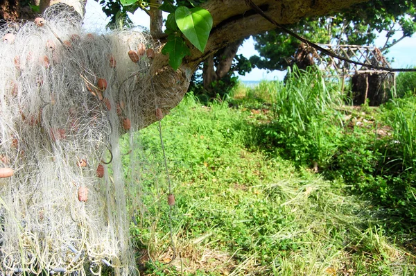 Fischernetz an Baum nahe verlassenem Haus — Stockfoto