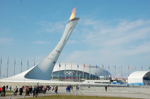 Feu olympique aux XXIIes Jeux Olympiques d'hiver de Sotchi 2014 Images De Stock Libres De Droits