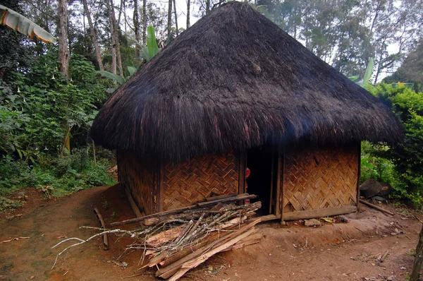 Casa de aldeia com lenha na área rural — Fotografia de Stock