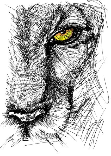 Croquis dessiné à la main d'un lion regardant attentivement la caméra — Image vectorielle