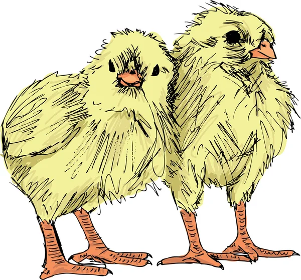 Hand Rita skiss av kyckling — Stock vektor