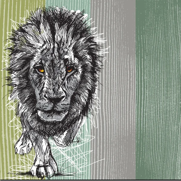 Desenho de um grande leão africano macho — Vetor de Stock