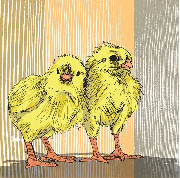 鶏の手描きスケッチ — ストックベクタ