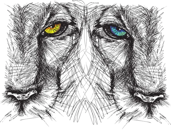 Συρμένο χέρι σκίτσο ενός λιονταριού, κοιτάζοντας με προσήλωση τη φωτογραφική μηχανή — Διανυσματικό Αρχείο