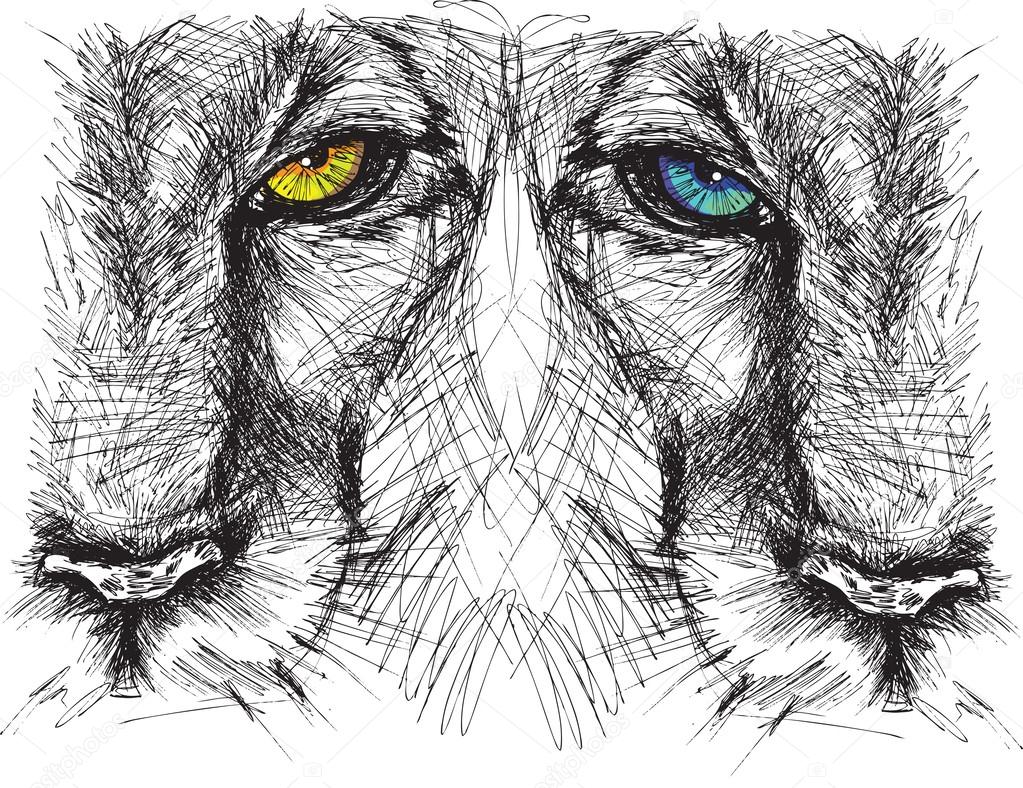 Hand drawn Sketch of a lion looking intently at the camera