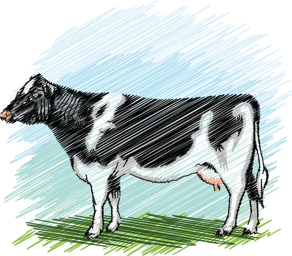 Ilustración vaca Holstein — Vector de stock