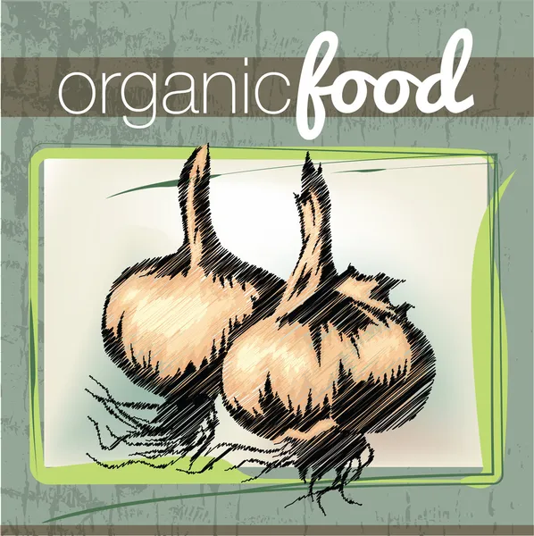 Organic Food illustration — Stock Vector