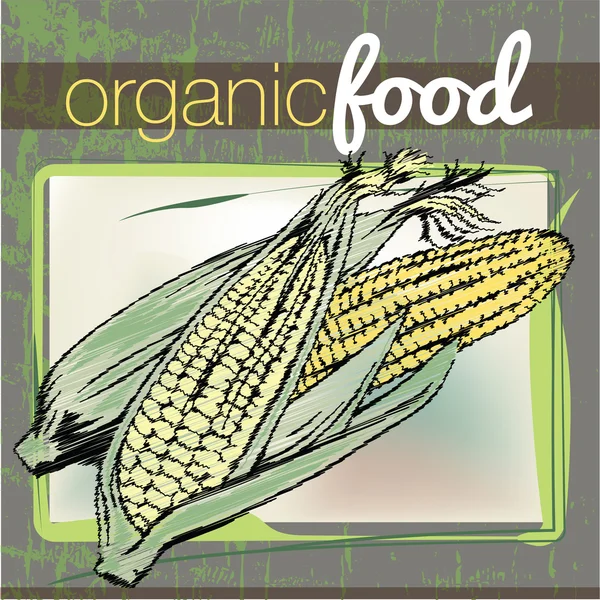 Illustration zu Bio-Lebensmitteln — Stockvektor