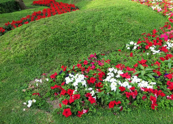 Kleurrijke Bloembedden Formele Tuin — Stockfoto