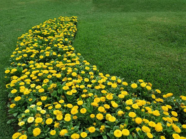 Yellow Flower Beds Formal Garden — Stock Photo, Image