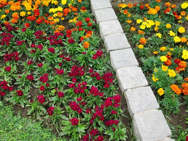 Camas Flores Coloridas Jardim Formal — Fotografia de Stock
