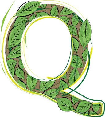 Yeşil yaprak alfabe vektörü Illustration Letter Q
