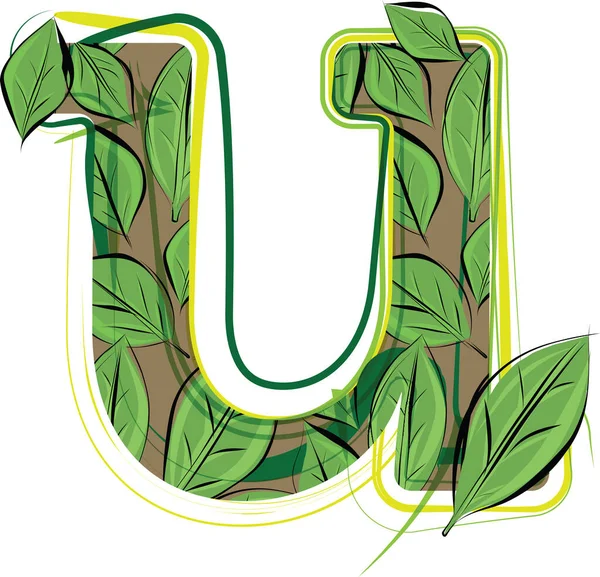 Vektor Zelené Abecedy Ilustrace Dopis — Stockový vektor