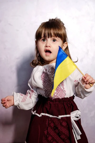 Baby Girl Ukrainian Embroidery Dress Protesting War Conflict Raises National — Stock Photo, Image