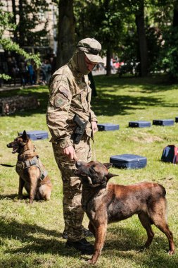 Lviv, Ukrayna - 1 Haziran 2021: Köpekli bir Cynologist. Alman çoban köpeği. Çalışan köpek eğitimi.