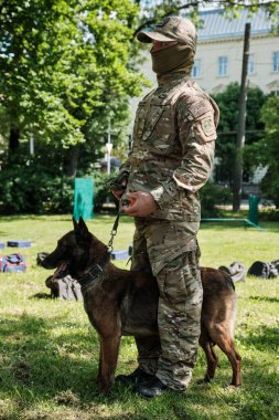 Lviv, Ukrayna - 1 Haziran 2021: Köpekli bir Cynologist. Alman çoban köpeği. Çalışan köpek eğitimi.