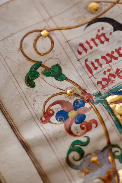 Lviv Ukraine April 2020 Manuscripts Medieval Library Incunabula Artistic Selective Imagen De Stock