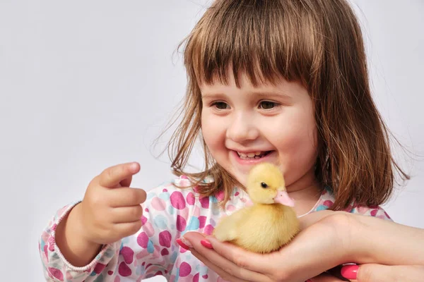 Happy Little Girl Playing Ducklings Isolated White Background Concept Friendship Stock Photo