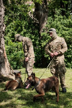 Lviv, Ukrayna - 1 Haziran 2021: Köpekli bir Cynologist. Alman çoban köpeği. Çalışan köpek eğitimi.