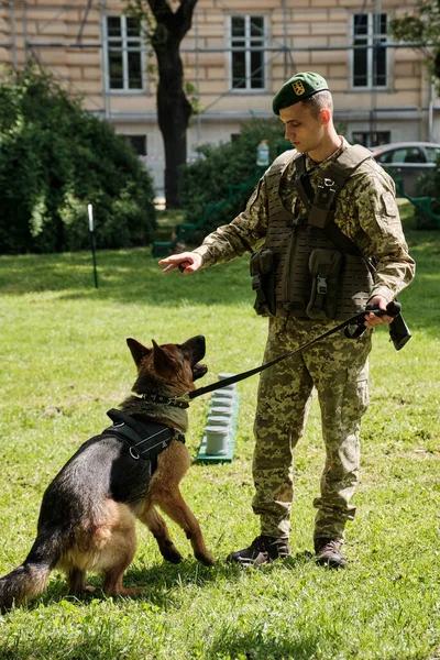 Львів Україна Червня 2021 Цинолог Собакою German Shepherd Service Dog — стокове фото