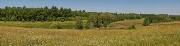 Floden "vyazovka" — Stockfoto