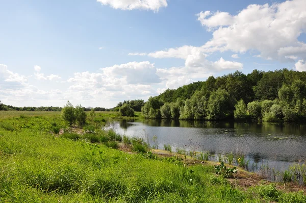 Река "Вязовка " — стоковое фото