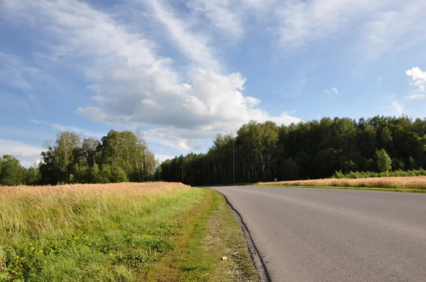 Orosz road — Stock Fotó