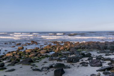 Torres, RS, Brezilya 'daki Cal plajı manzarası. Korunmuş, güzel ve vahşi bir sahil.
