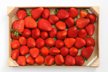 Tahta Kutuda Çilekler