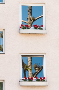 Beton içindeki doğa