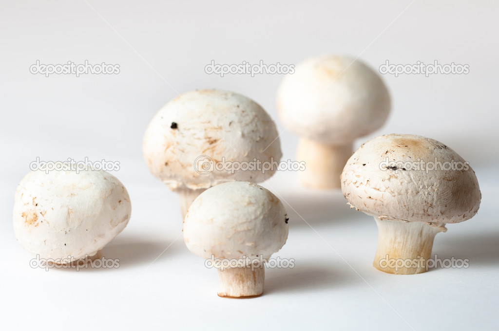 Button mushrooms