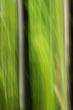 bulanık doğa desen