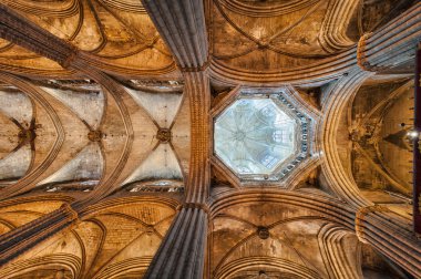 Santa eulalia Katedrali (adı seu) iç. Barri gotic, barc