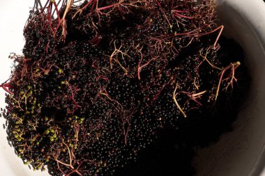 Yaz aylarında hasat Sambucus Nigra veya mürver çilek closeup çekim.