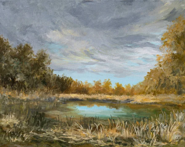 Oil Painting Warm Day Rural Summer Landscape Danube Delta Trees — Photo