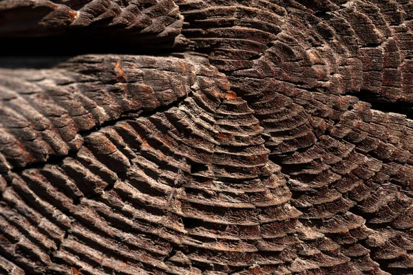 Macro Shot Ancient Weathered Dark Brown Cracked Wood Beam Surface — Stockfoto