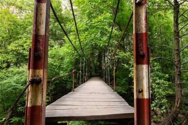 Romanya 'nın Transilvanya kentindeki Turda' nın 6 km batısında yer alan doğal bir rezervasyon olan Romanya 'nın Cheile Turzii kentindeki Turda Vadisi' ndeki yürüyüş yolunda askıya alınmış köprü.