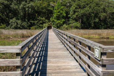 HILTON HEAD ISLAND, Güney Carolina, ABD - 24 Eylül 2022: Tarihi Mitchelville Özgürlük Parkı Tahta Yolu.