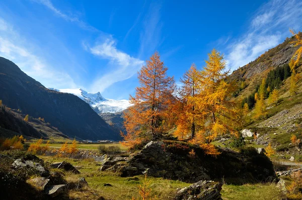 Bergslandskap i höst — Stockfoto