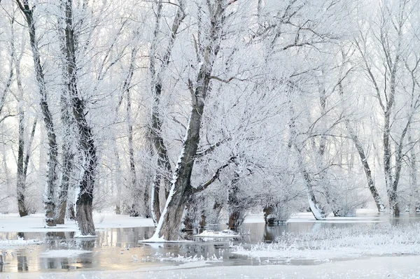 Paisaje invierno —  Fotos de Stock