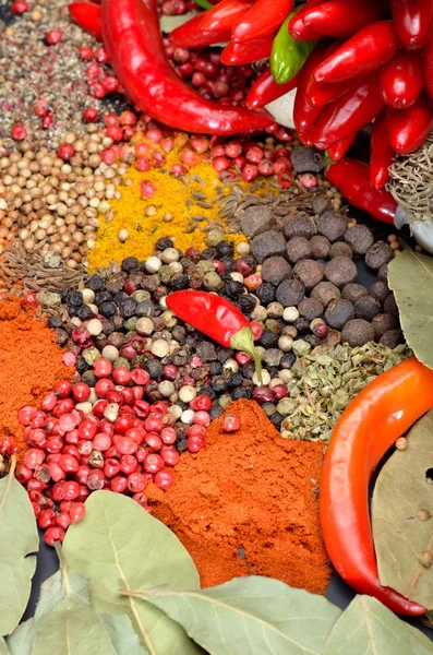 Colorful spices — Zdjęcie stockowe