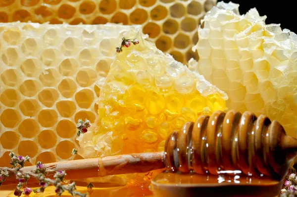 金蜂蜜 — 图库照片