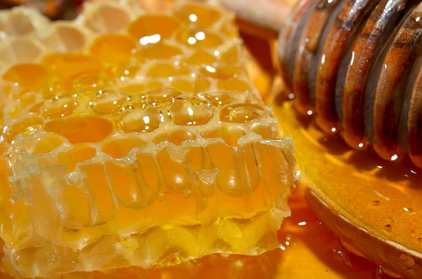 Golden honey — Stock Photo, Image